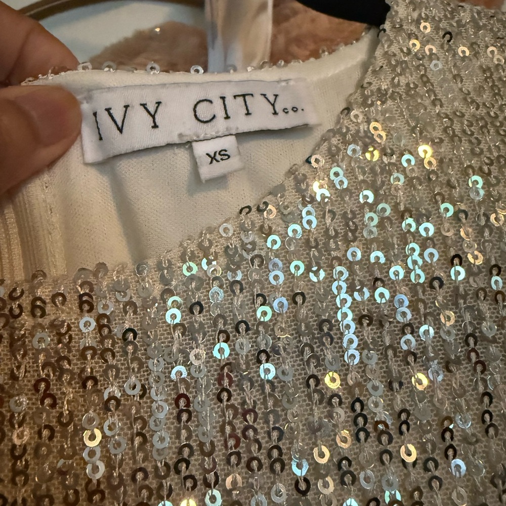 Starling Elegant Silver Sequin Dress - Picture 6 of 6